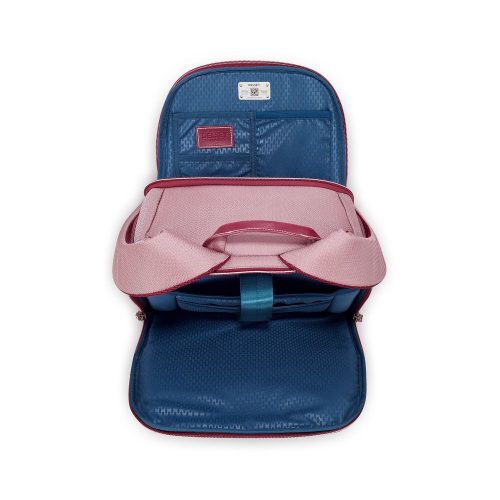 Delsey Chatelet Air 2 0 Backpack 17